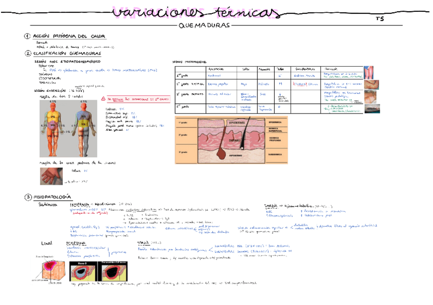 Miniatura del documento Tema-5.pdf