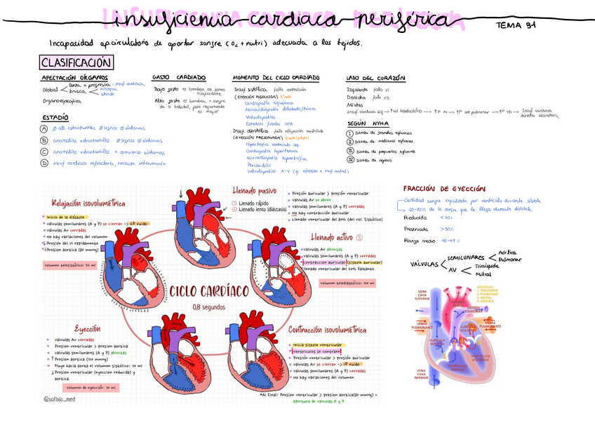 Miniatura del documento Tema-31-insuficiencia-cardiaca.pdf