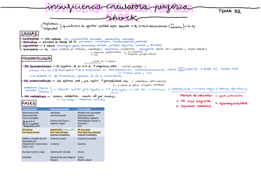 Miniatura del documento Tema-32-shocK-sincope-coma.pdf