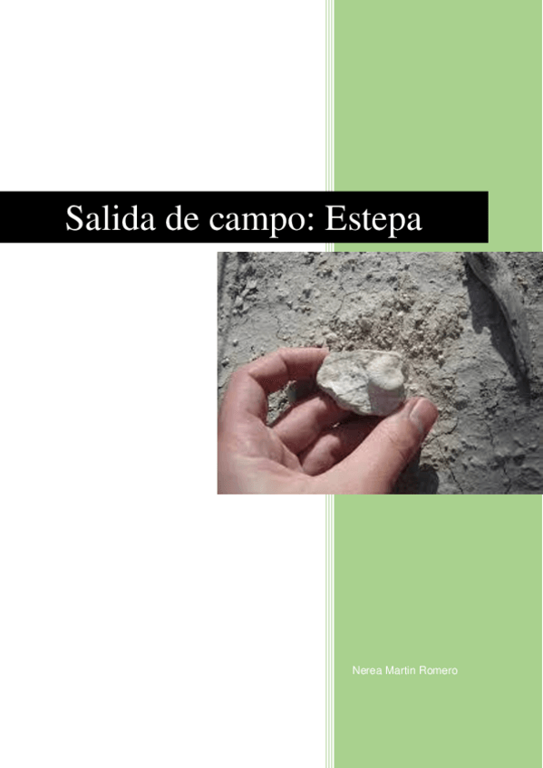Miniatura del documento Informe-de-Estepa.pdf