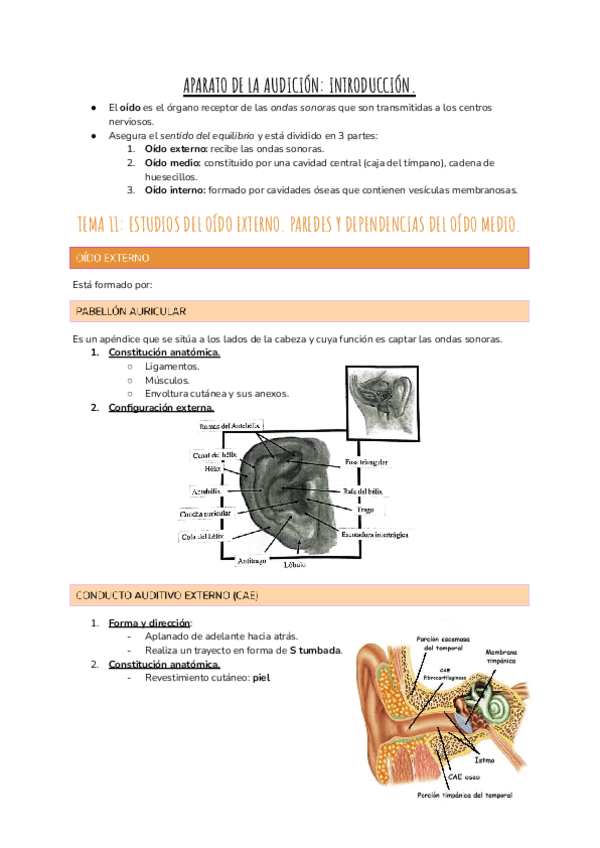 Miniatura del documento Tema 11,12,13.pdf