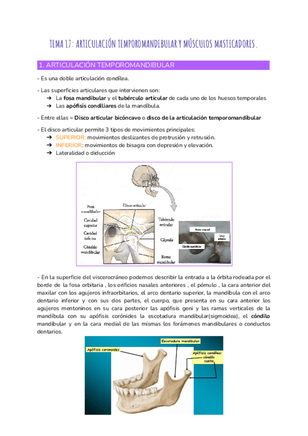 Miniatura del documento TEMA-17-22.pdf