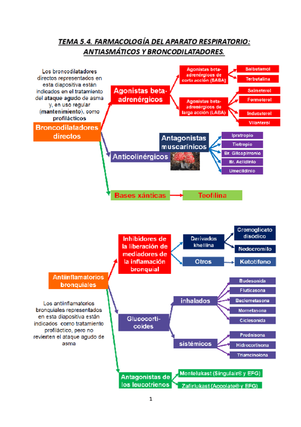 Miniatura del documento TEMA-5.4.-FARMACOLOGIA-DEL-APARATO-RESPIRATORIO-ANTIASMATICOS-Y-BRONCODILATADORES-23-24.pdf