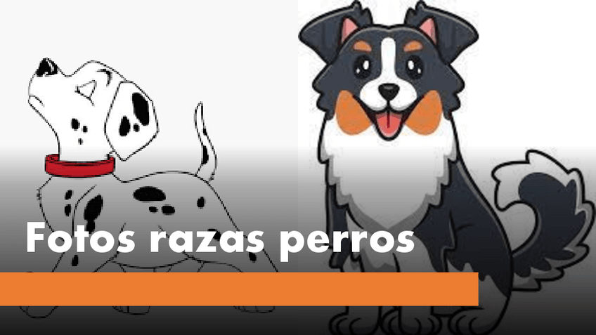 Miniatura del documento Fotos-razas-perros.pdf