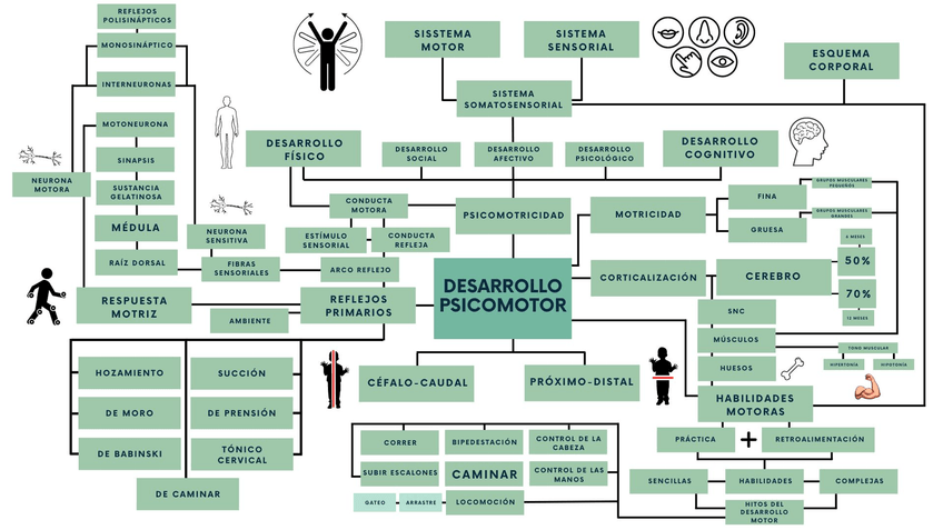 Miniatura del documento mapa-mental-desarrollo-psicomotor.jpg