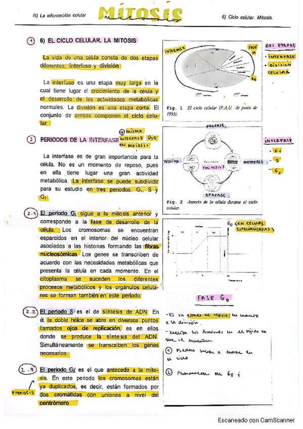 Miniatura del documento Mitosis y Meiosis 2 Bach.pdf