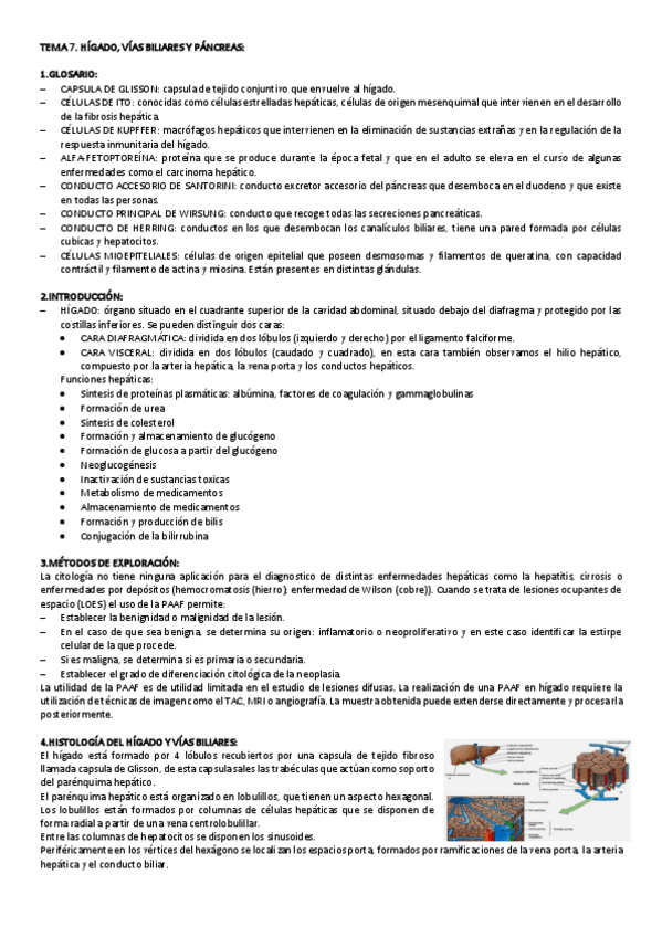 Miniatura del documento TEMA-7-CITO-GENE.pdf
