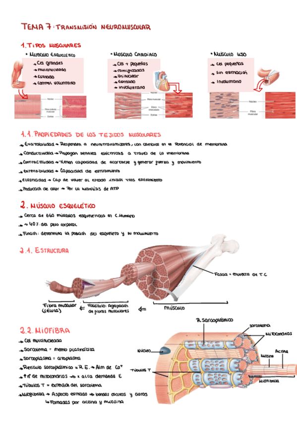 Miniatura del documento Biofisica-T7-10.pdf
