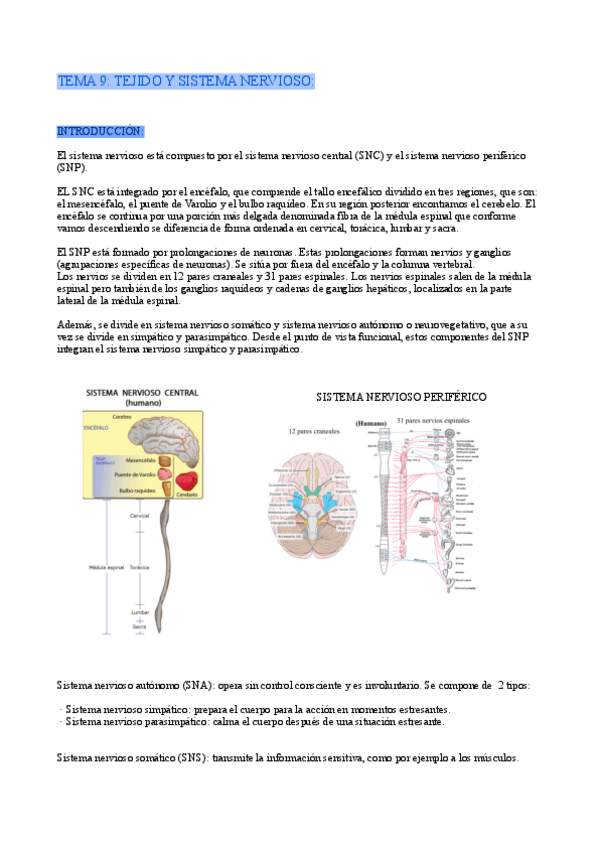 Miniatura del documento TEMA-9Sistema-Nervioso.pdf