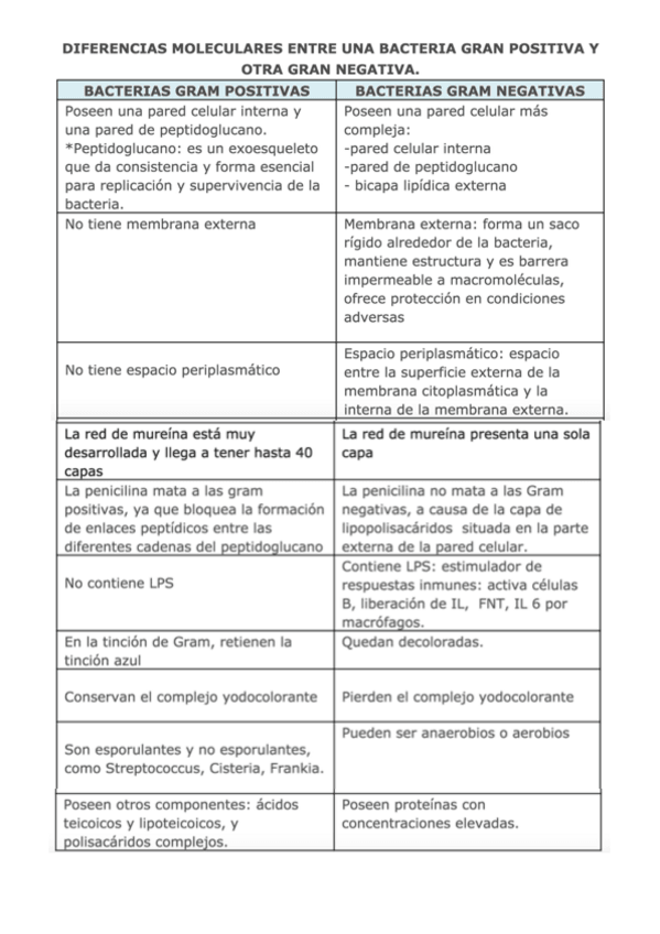 Miniatura del documento Bacterias Gram.pdf