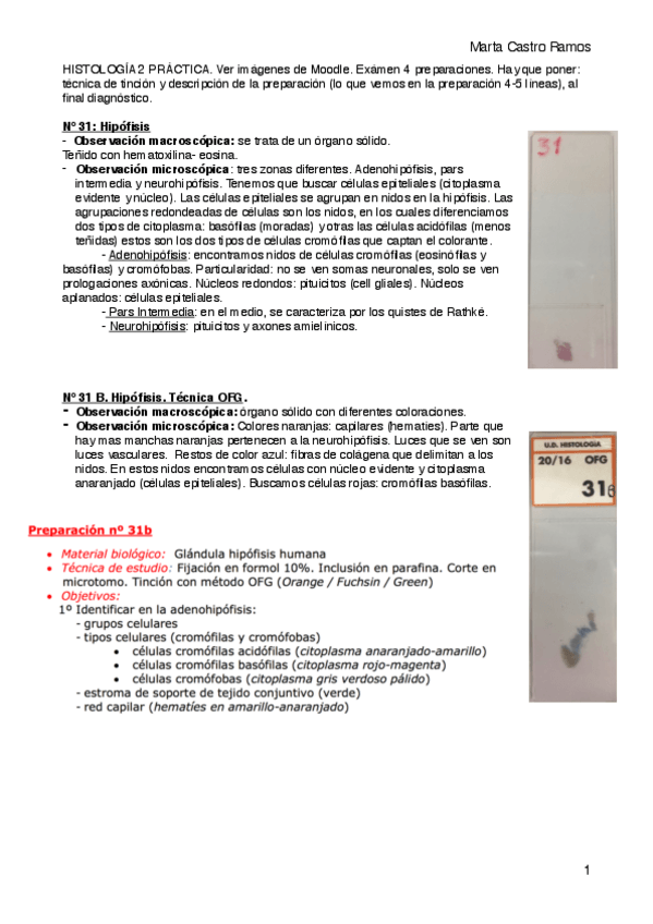 Miniatura del documento HISTOLOGÍA2.pdf