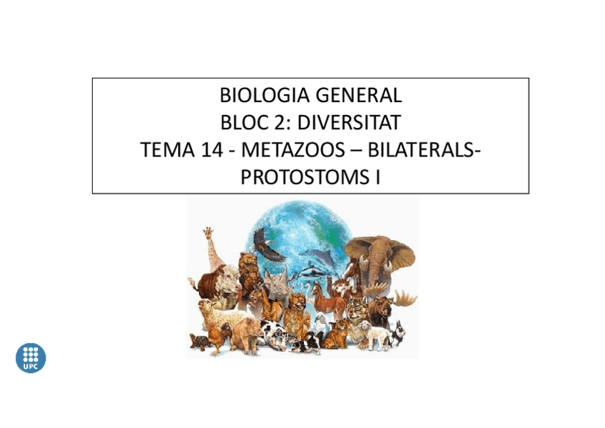 Miniatura del documento 4-BilateralsProtostoms-I-23-24-1.pdf