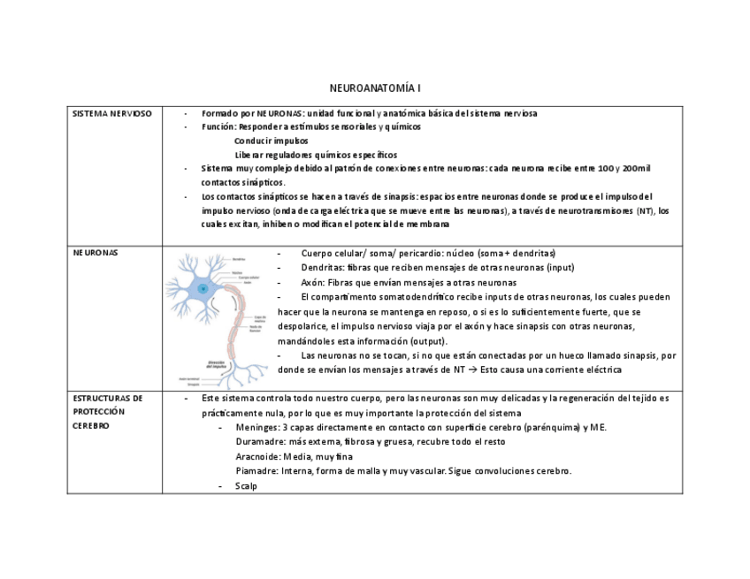 Miniatura del documento esquemas-neuro.pdf
