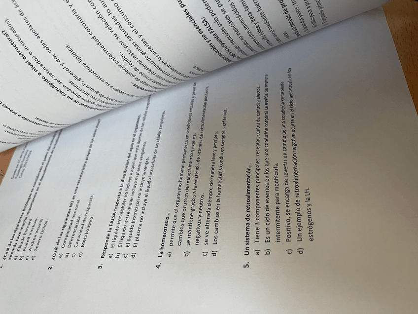 Miniatura del documento IMG4466.jpeg