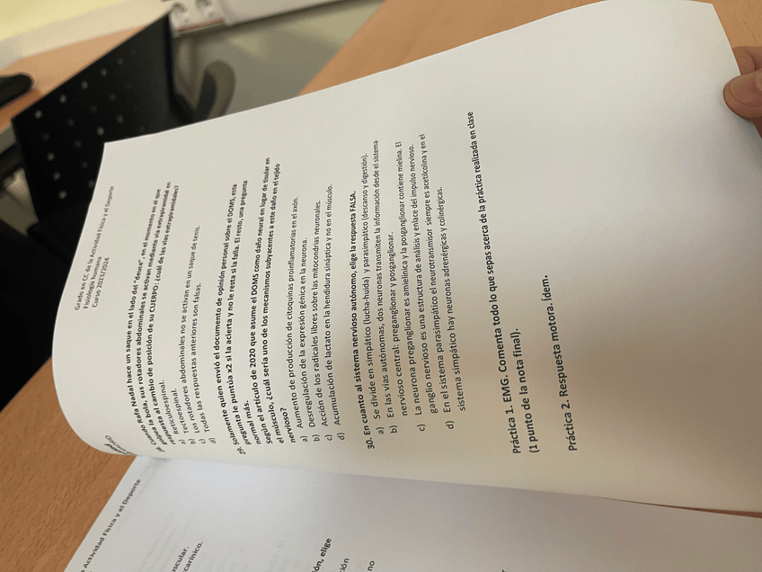 Miniatura del documento IMG4465.jpeg