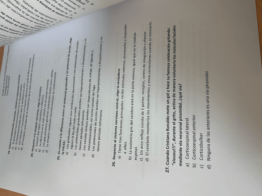 Miniatura del documento IMG4463.jpeg