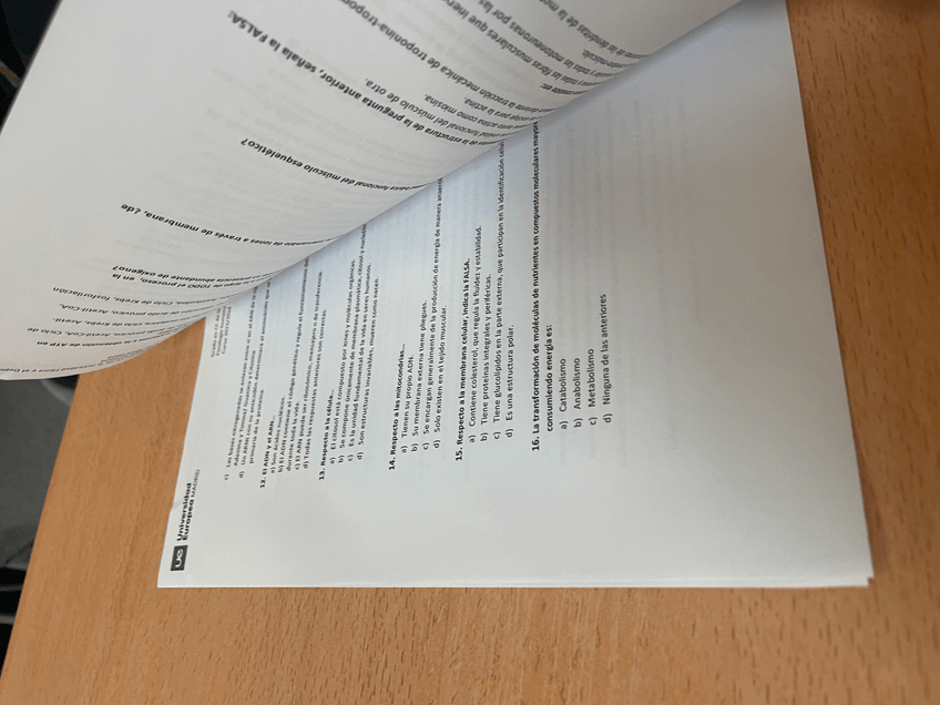 Miniatura del documento IMG4462.jpeg