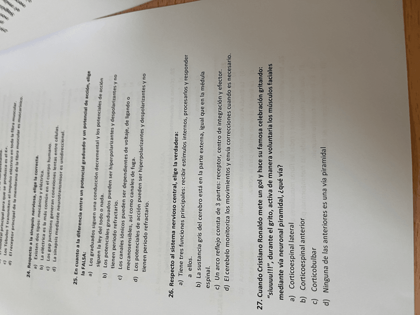 Miniatura del documento IMG4458.jpeg