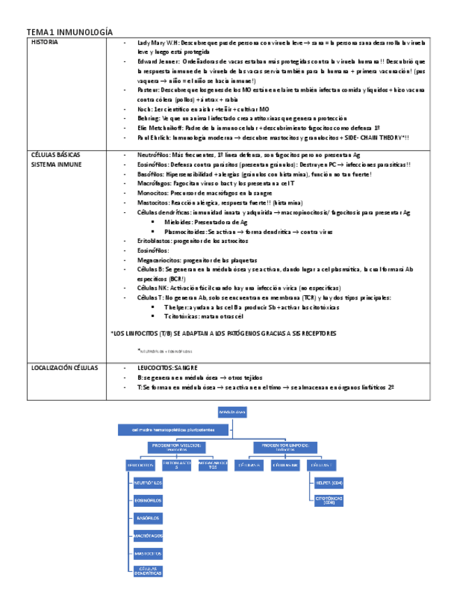 Miniatura del documento esquemas-inmuno.pdf