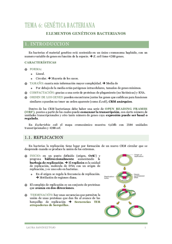 Miniatura del documento Tema-5-Genetica-bacteriana.pdf