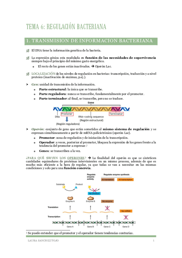 Miniatura del documento Tema-6-Regulacion-bacteriana.pdf