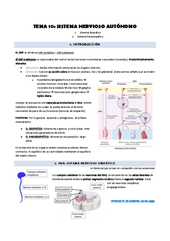 Miniatura del documento Tema-10.pdf