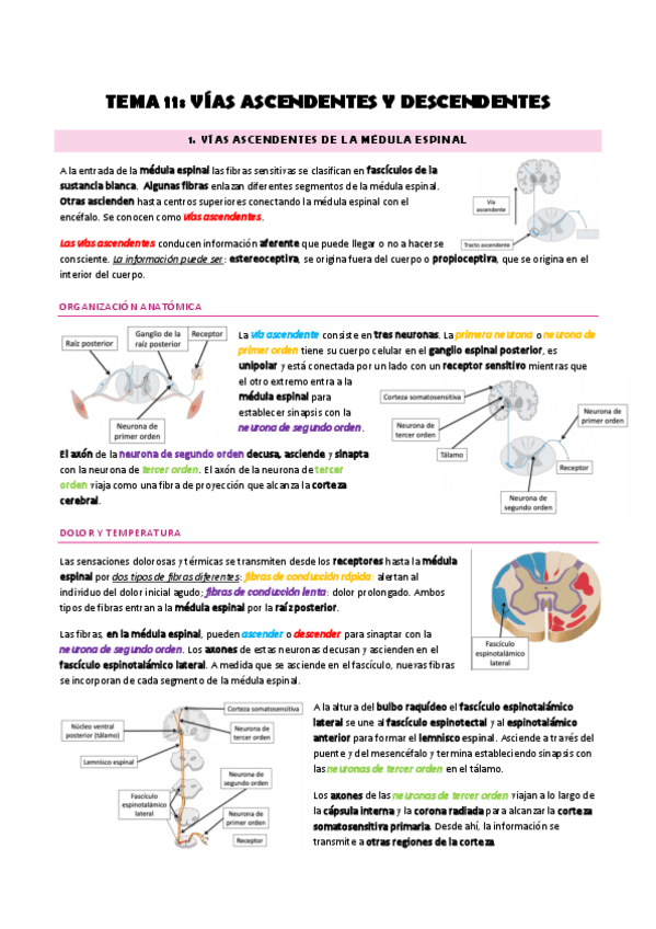 Miniatura del documento Tema-11.pdf