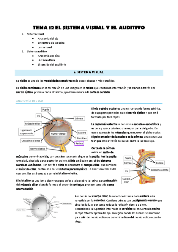 Miniatura del documento Tema-12.pdf