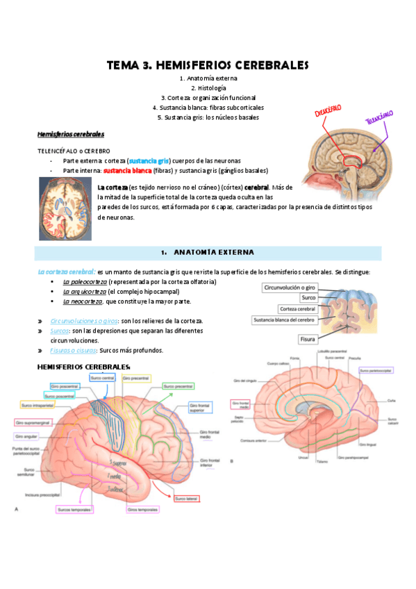 Miniatura del documento Tema-3.pdf