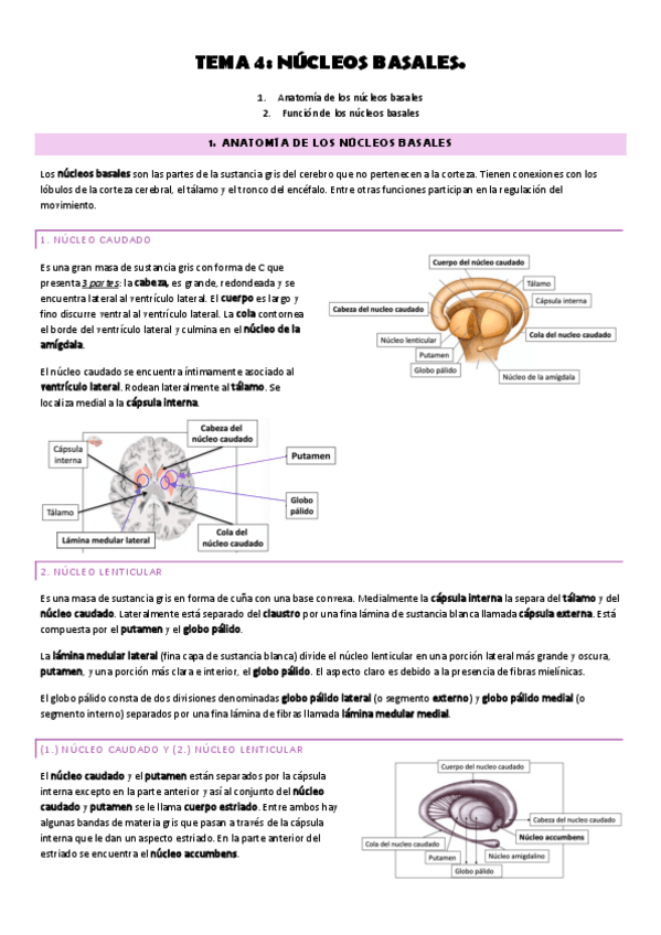 Miniatura del documento Tema-4.pdf