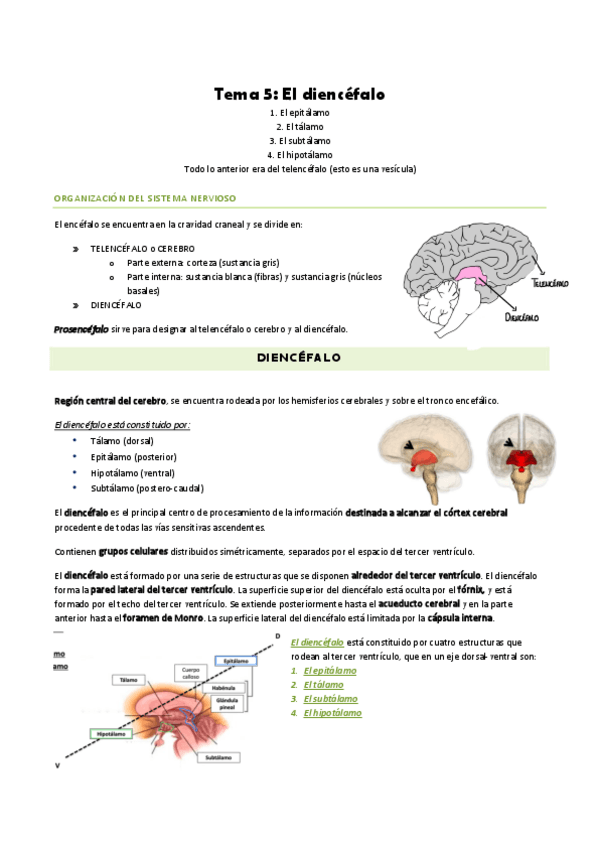 Miniatura del documento Tema-5.pdf