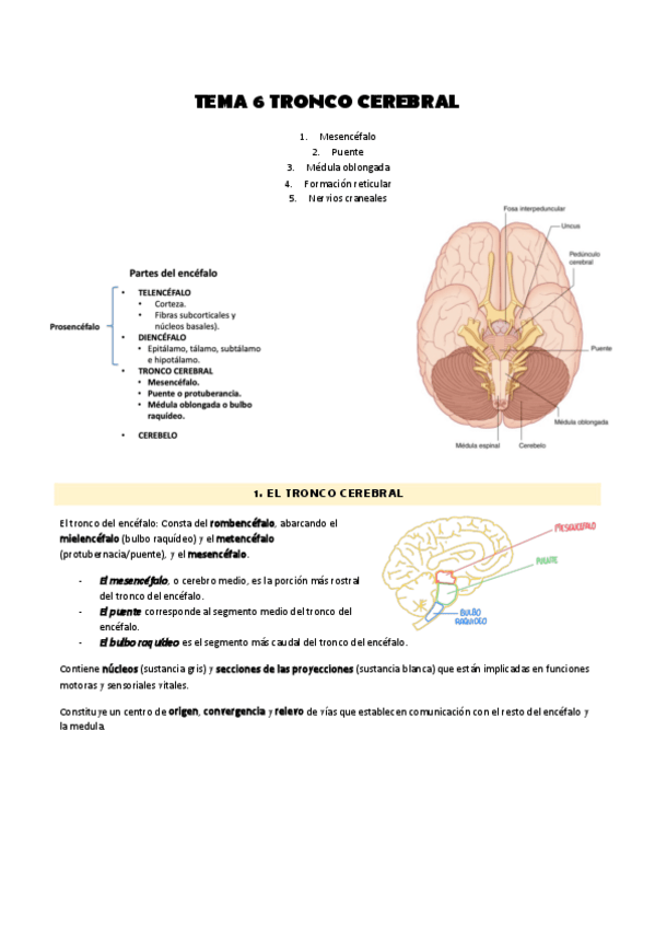 Miniatura del documento Tema-6.pdf