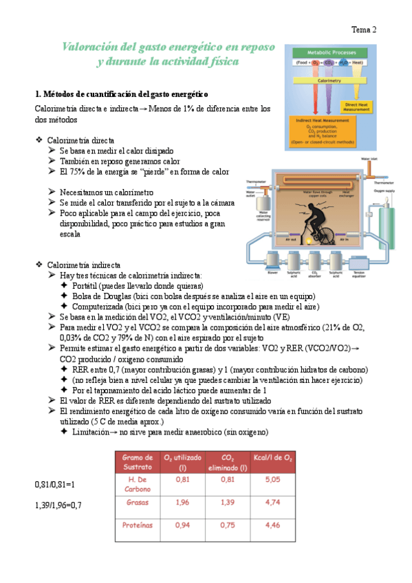 Miniatura del documento Tema-2.-Valoracion-del-gasto-energetico-en-reposo-y-durante-la-actividad-fisica.pdf