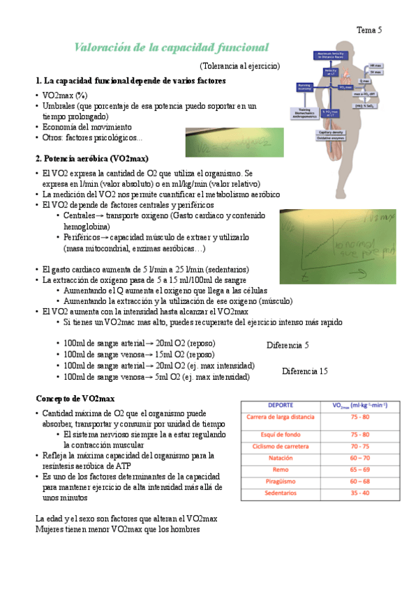 Miniatura del documento Tema-5.-Valoracion-de-la-capacidad-funcional.pdf