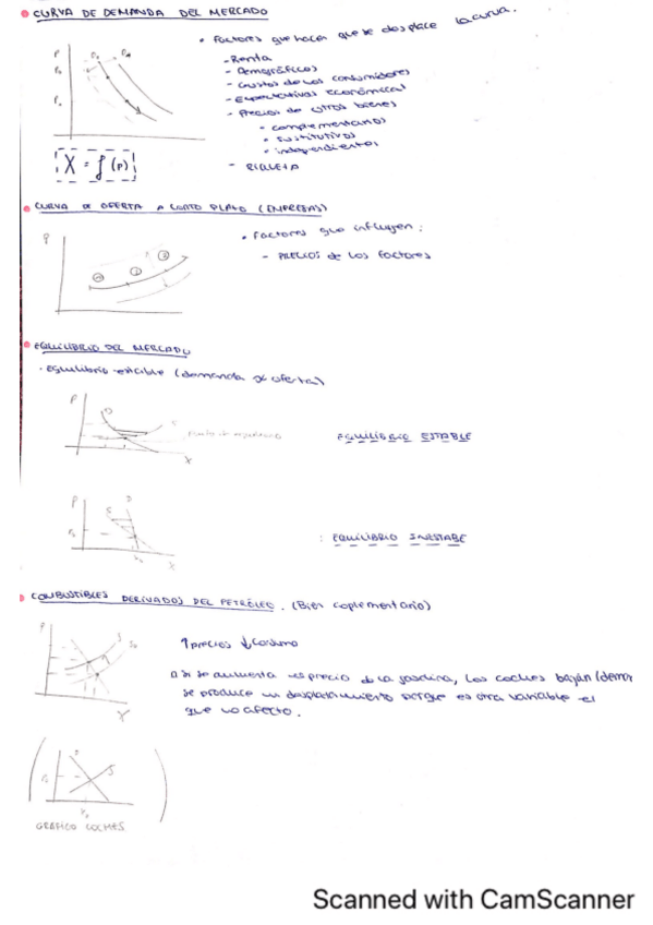 Miniatura del documento Apuntes-microeconomia.pdf