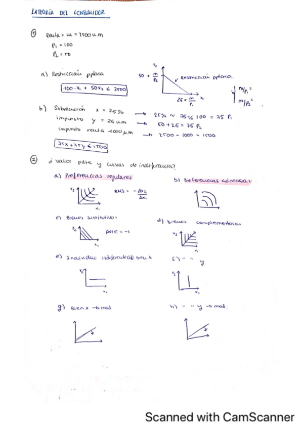 Miniatura del documento teoria-del-consumidor-ejercicios.pdf