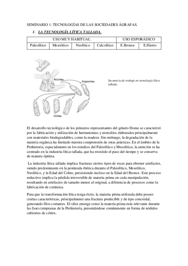 Miniatura del documento resumen-seminario-1.pdf