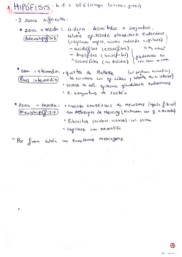 Miniatura del documento Resumen-de-practicas.pdf
