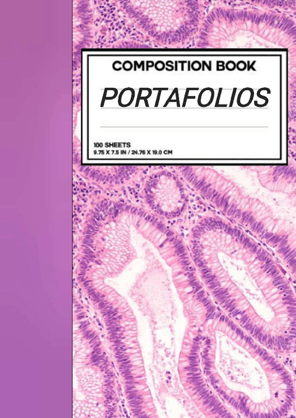 Miniatura del documento PORTAFOLIOS-de-las-practicas.pdf