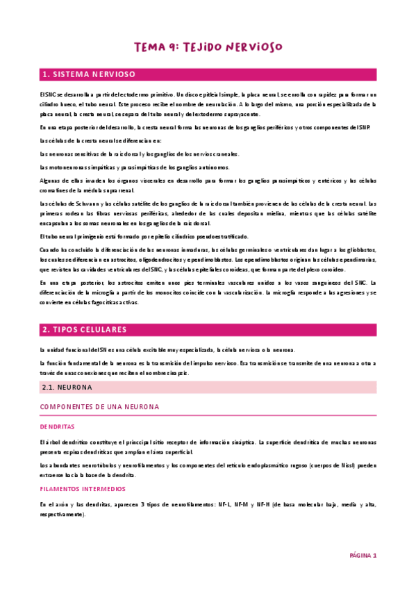 Miniatura del documento Tema 9. Nervioso HH UJA.pdf