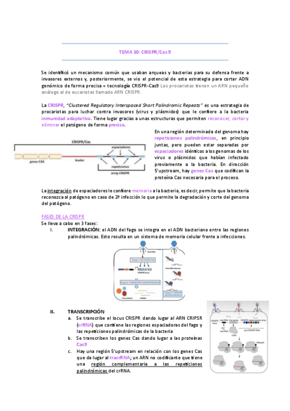 Miniatura del documento Tema-10-CRISPR.pdf