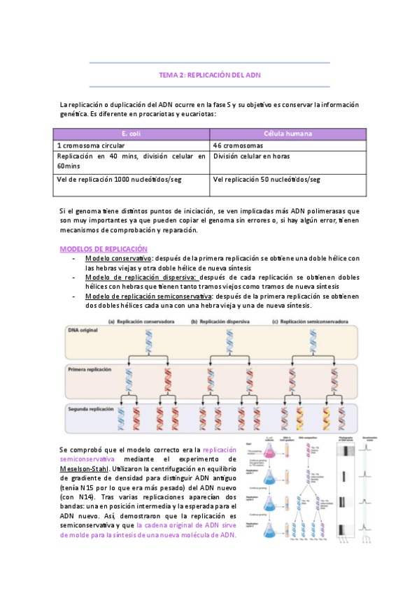 Miniatura del documento Tema-2-replicacion.pdf