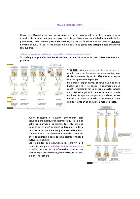 Miniatura del documento Tema-1.pdf