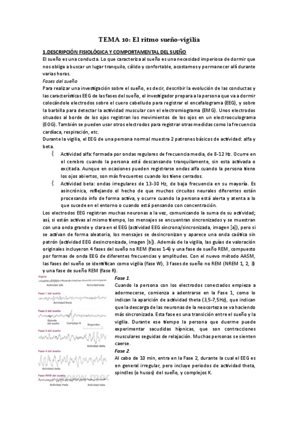 Miniatura del documento TEMA-10-FISIO.pdf