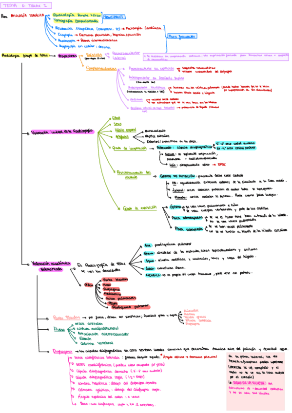 Miniatura del documento Esquemas-Torax.pdf