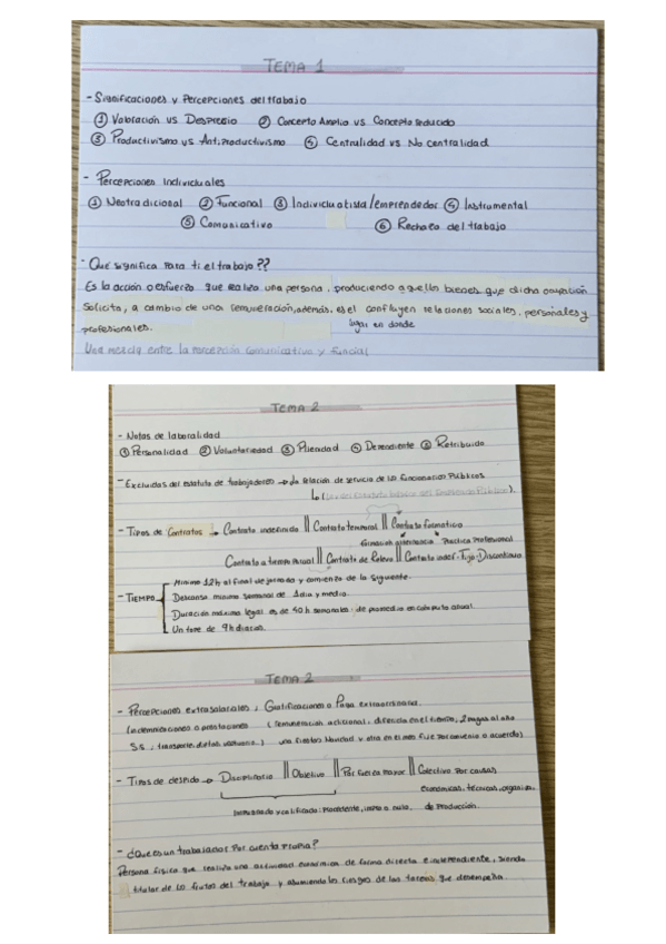 Miniatura del documento 1oLaboral-Resumen-flashcards-para-el-Primer-Examen.pdf