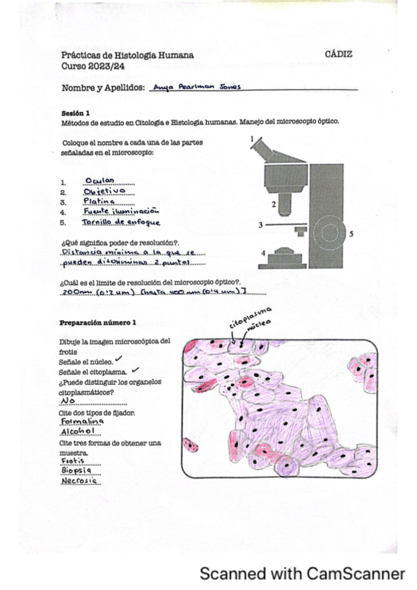 Miniatura del documento Cuadernillo-organografia-dibujar.pdf