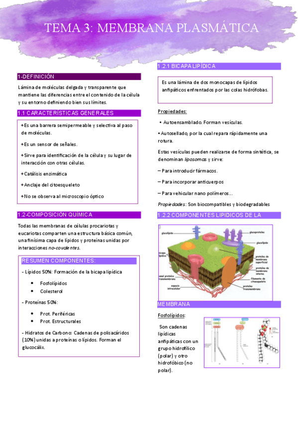 Miniatura del documento TEMA-3-MEMBRANA-PLASMATICA.pdf