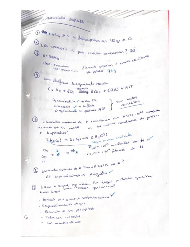 Miniatura del documento CORRECION-EXAMEN-NATURALES-PEPI.pdf