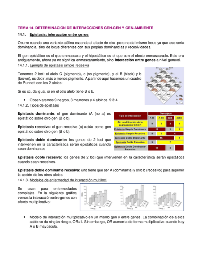 Miniatura del documento 14.-Interaccion-gen-gen-y-gen-ambiente.pdf